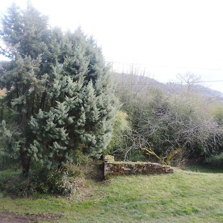 Bed and Breakfast Les Marronniers La Chapelle-sous-Brancion Esterno foto
