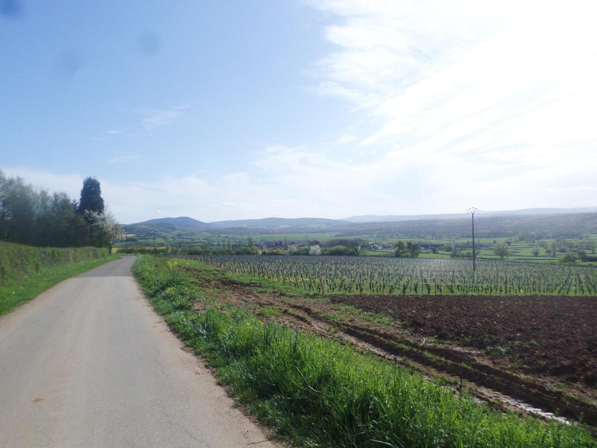 Bed and Breakfast Les Marronniers La Chapelle-sous-Brancion Esterno foto