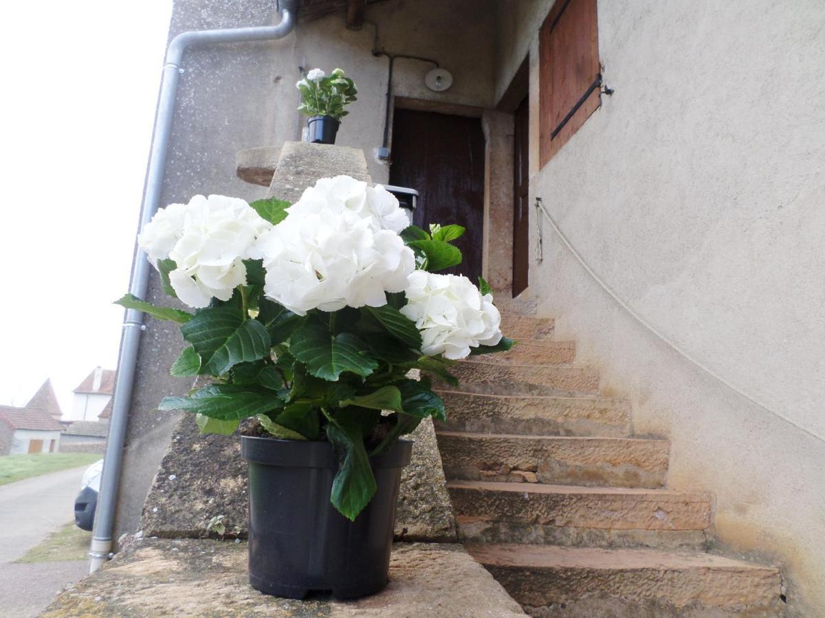 Bed and Breakfast Les Marronniers La Chapelle-sous-Brancion Esterno foto
